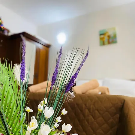 Elegance Appartement